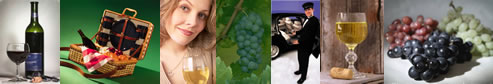 North Fork Vineyard Tourss - LI Winery Tours - specializing in limousine services for wine tasting in the Long Island, New York area.  Tours featuring professional chauffeurs, luxury sedans, stretch limousines, vans, more.